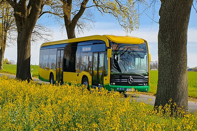 Un autobús electrico amarillo de VLP circula por una carretera entre campos de colza amarillos