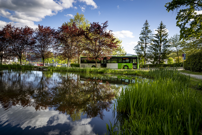 Un autobús blanco y verde recorre un lago rodeado de árboles de colores otoñales.